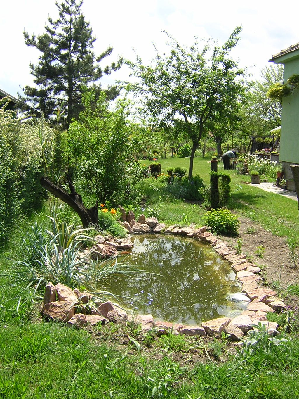 Oczko wodne